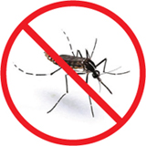 mosquito.com.hk